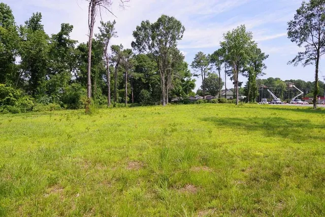 a view of field with trees in the background