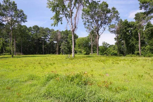 a view of outdoor space with deck and trees