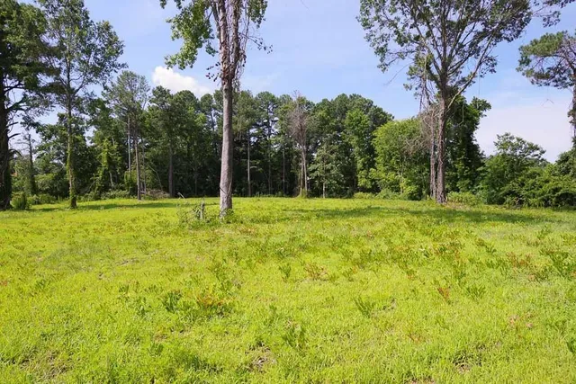 a backyard of a house with lots of green space and trees