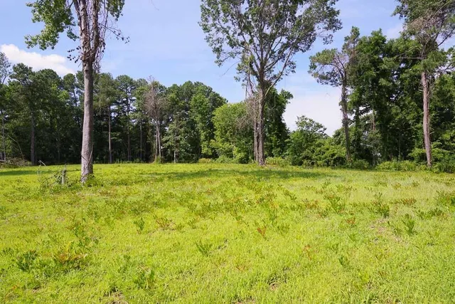 a view of a yard with a tree