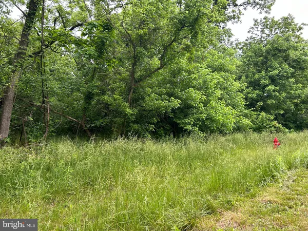 $200,000 | 0 East Main Street, Marshall, VA 20115