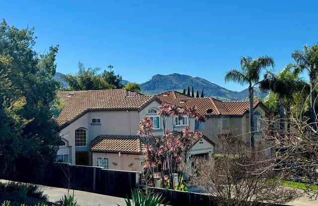 a view of a house with a yard and potted plants