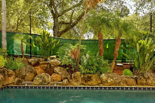 a view of yard with green space