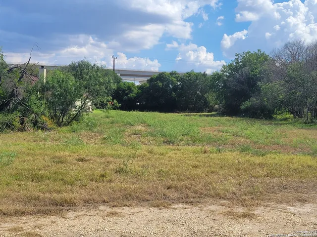 a view of a big yard with lots of green space