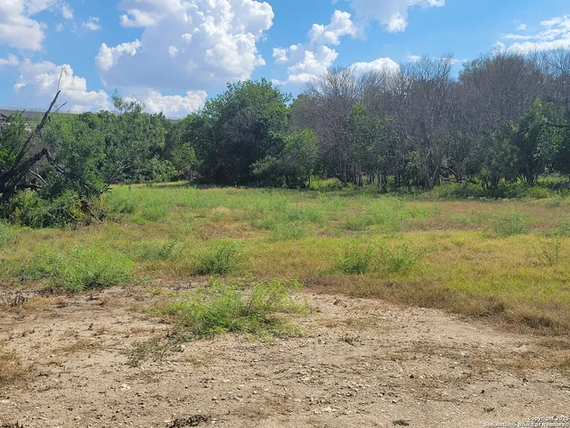 a view of a yard with an trees