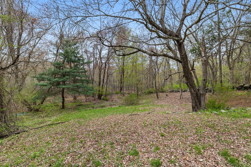 17 Wellesley Street Weston, MA 02493 - Photo 25 of 30 a backyard of a house with lots of green space