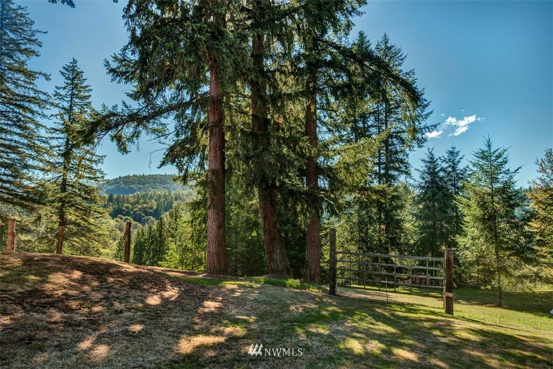 25505 Southeast Issaquah-Fall City Road Issaquah, WA 98029 - Photo 25 of 25 Gallery Image 25