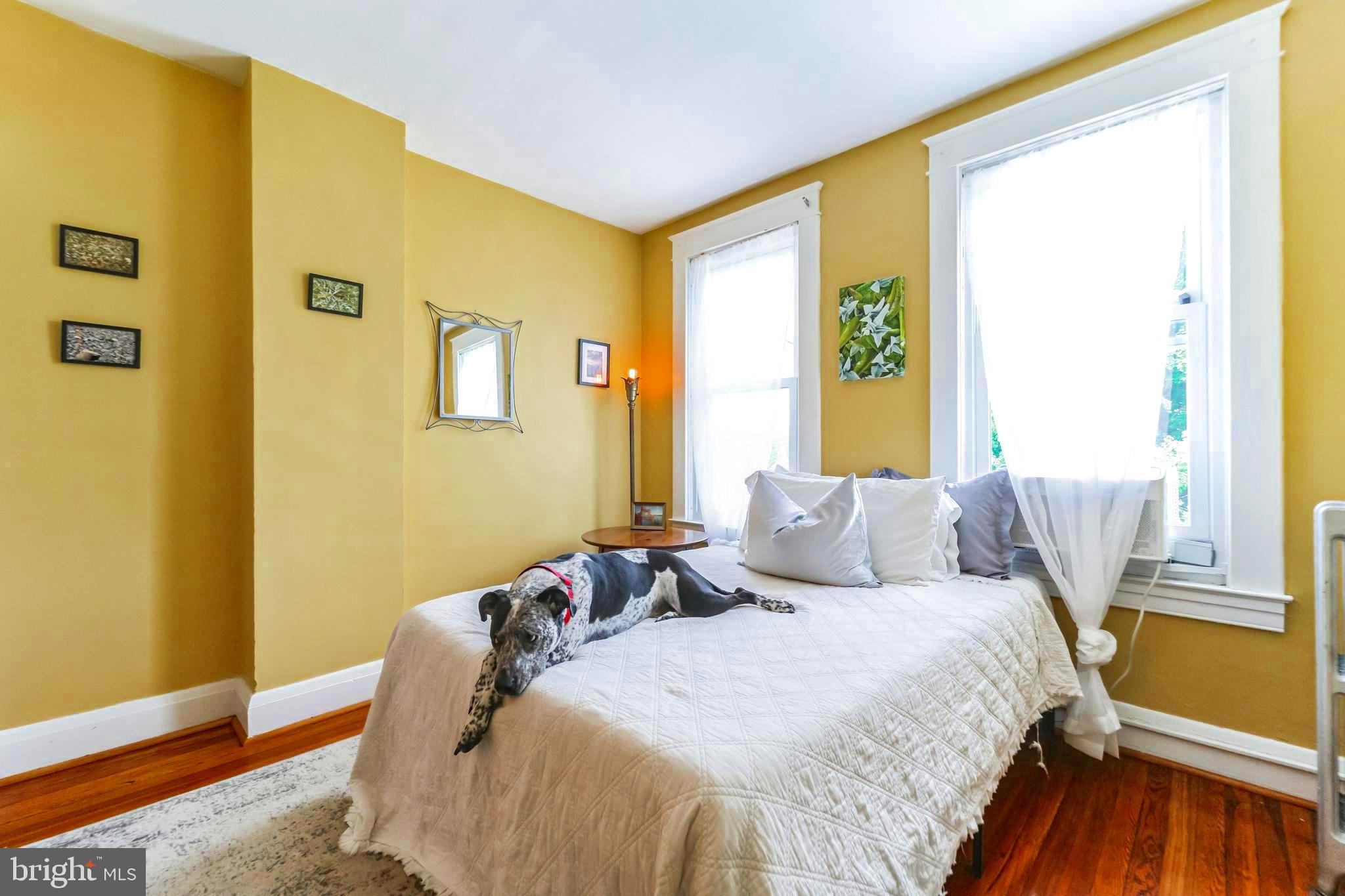 1124 Roland Heights Avenue Baltimore, MD 21211 - Photo 22 of 31 Gallery Image 22