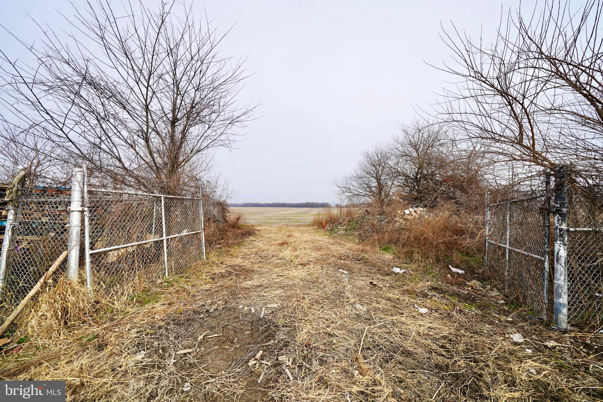 1 1-wilson Farm Road Bridgeville, DE 19933 - Photo 12 of 23 a backyard of a house with lots of green space