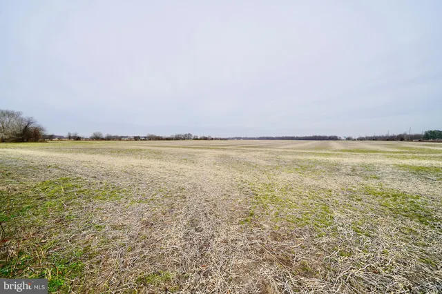 $849,900 | 1 1-wilson Farm Road, Bridgeville, DE 19933