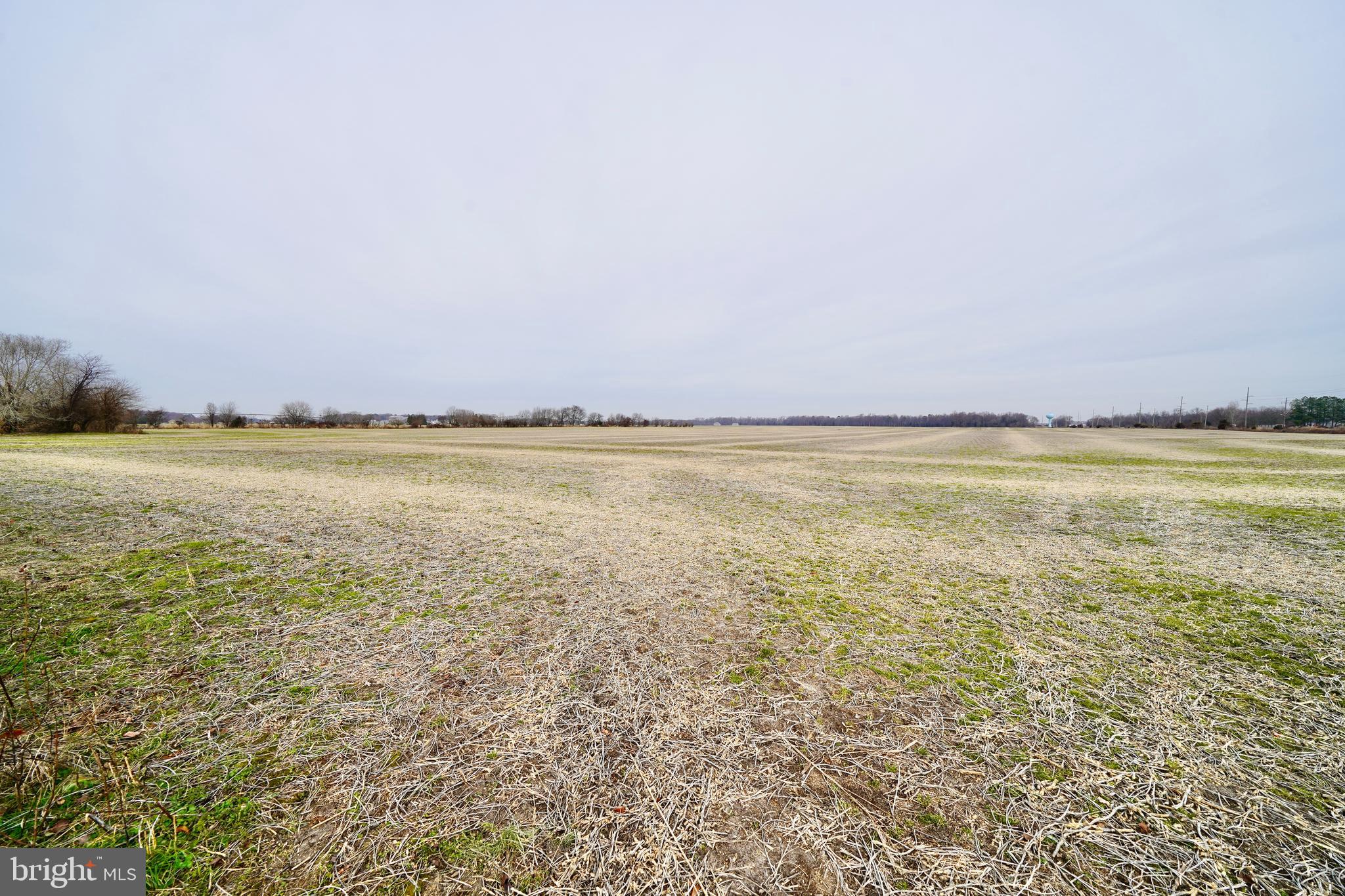 1 1-wilson Farm Road Bridgeville, DE 19933 - Photo 14 of 23 a view of an ocean