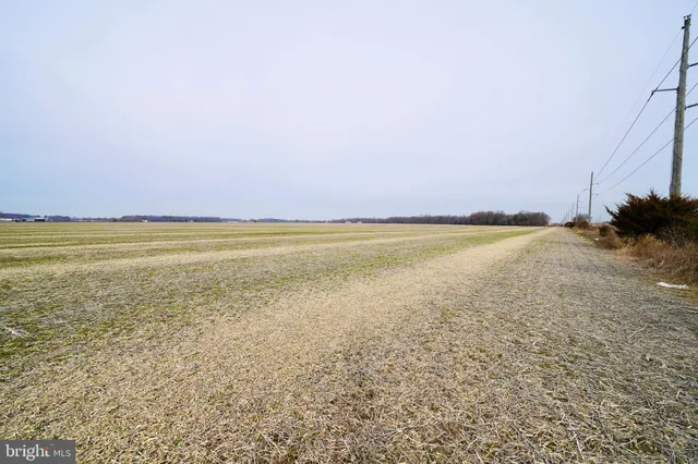 $849,900 | 1 1-wilson Farm Road, Bridgeville, DE 19933