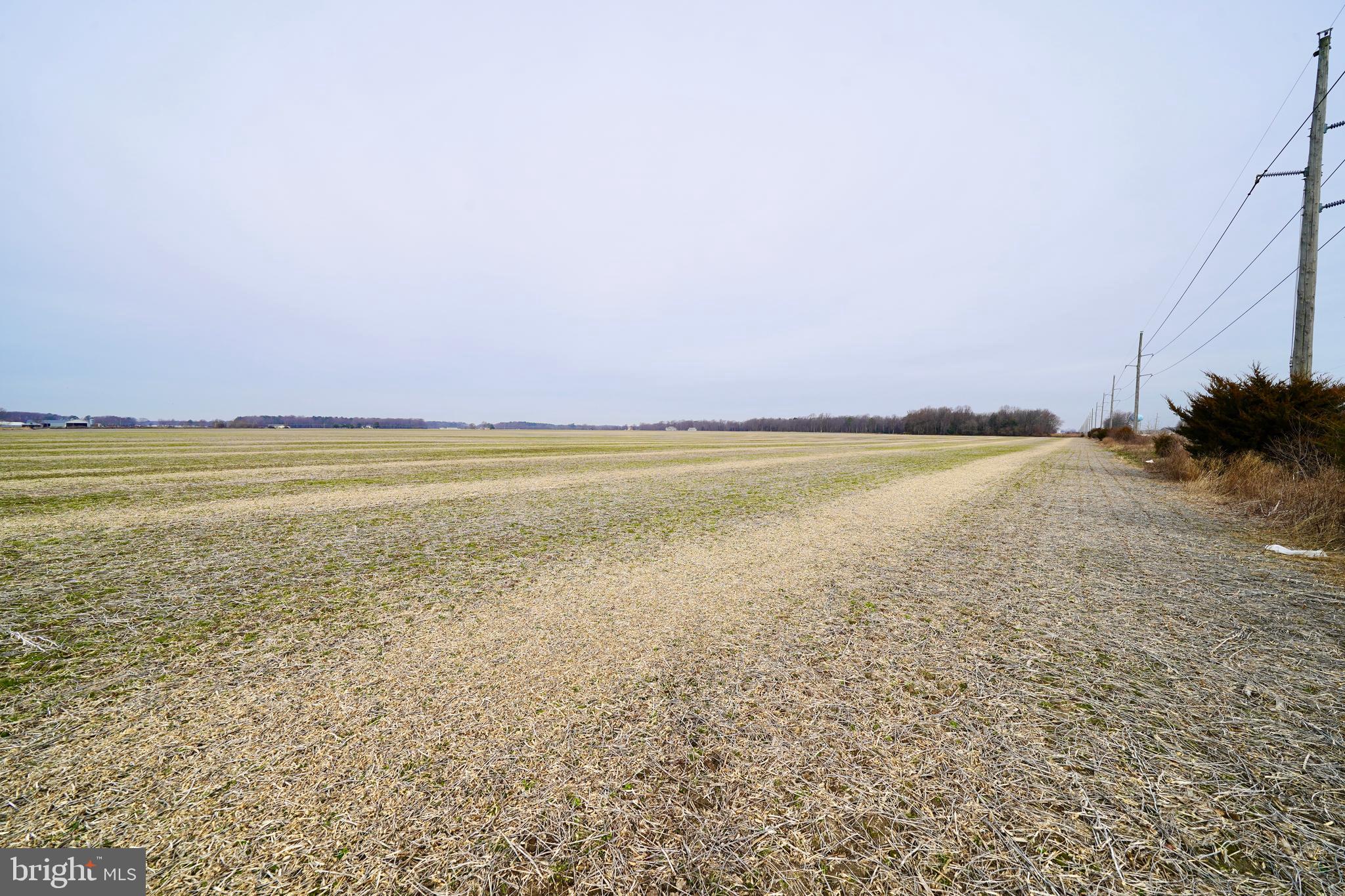 1 1-wilson Farm Road Bridgeville, DE 19933 - Photo 18 of 23 a view of an ocean and beach