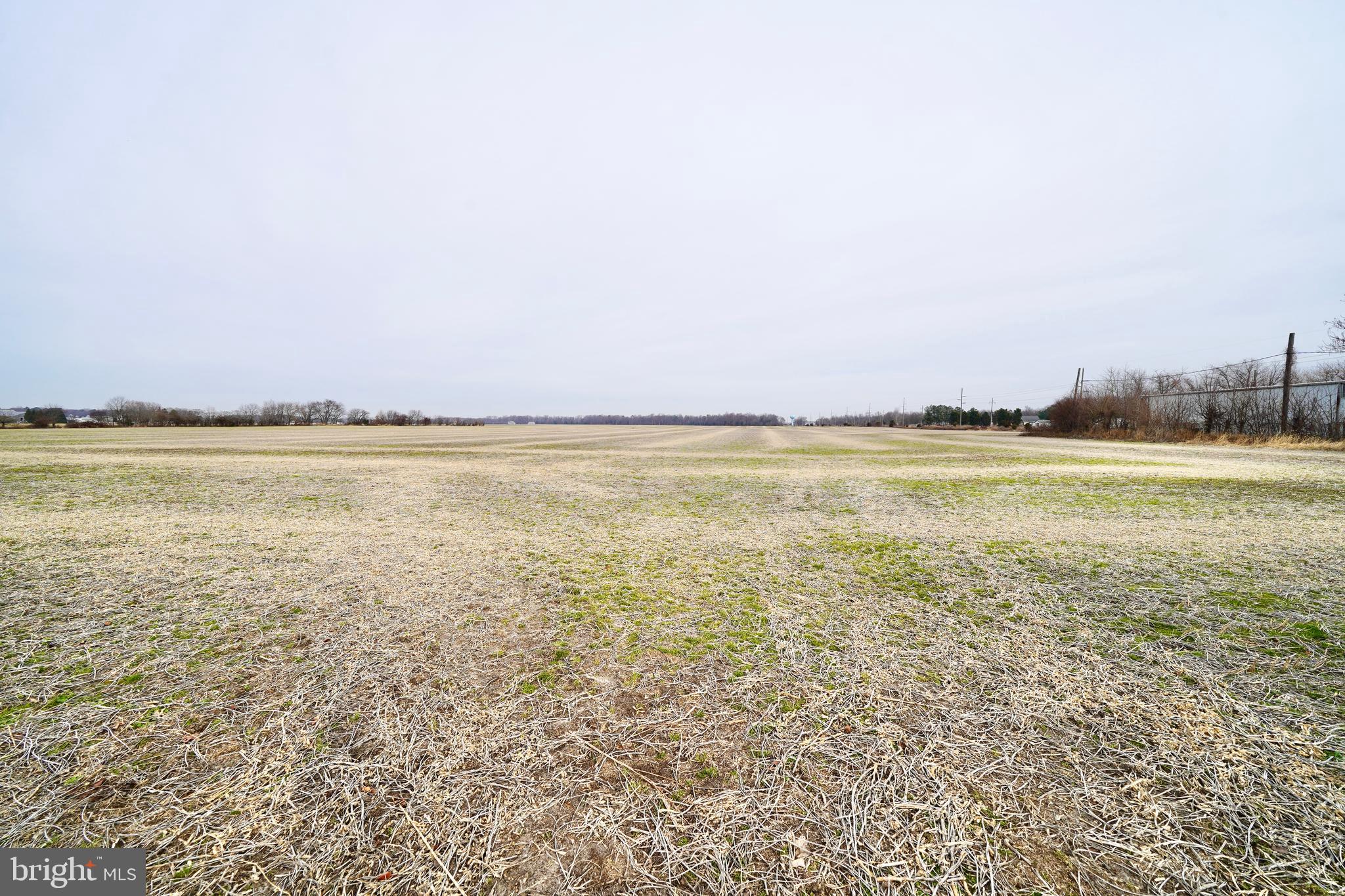 1 1-wilson Farm Road Bridgeville, DE 19933 - Photo 3 of 23