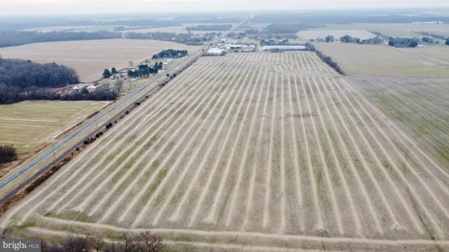 $849,900 | 1 1-wilson Farm Road, Bridgeville, DE 19933