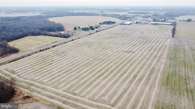 $849,900 | 1 1-wilson Farm Road, Bridgeville, DE 19933