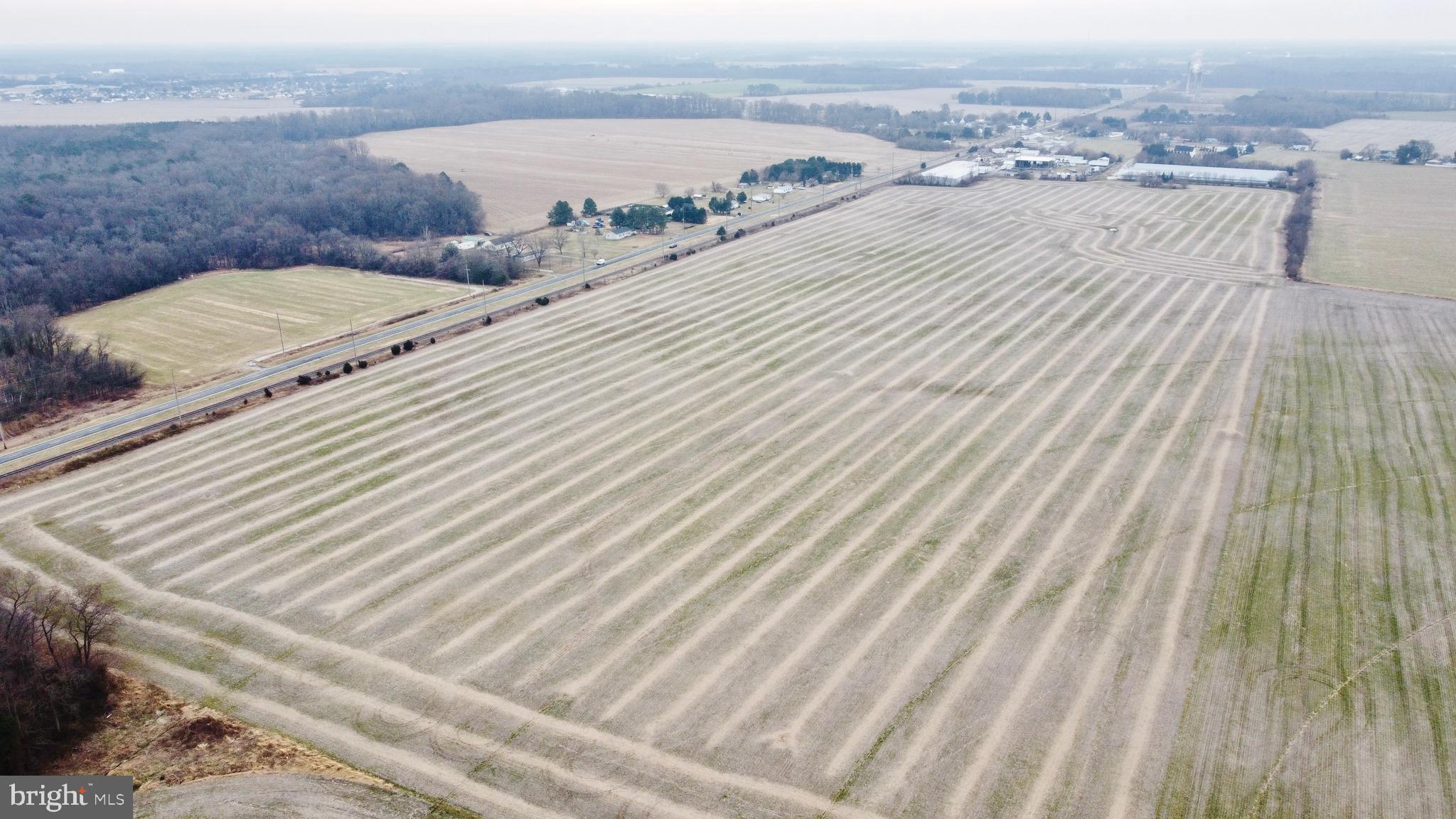 1 1-wilson Farm Road Bridgeville, DE 19933 - Photo 8 of 23 a view of a terrace with sky view