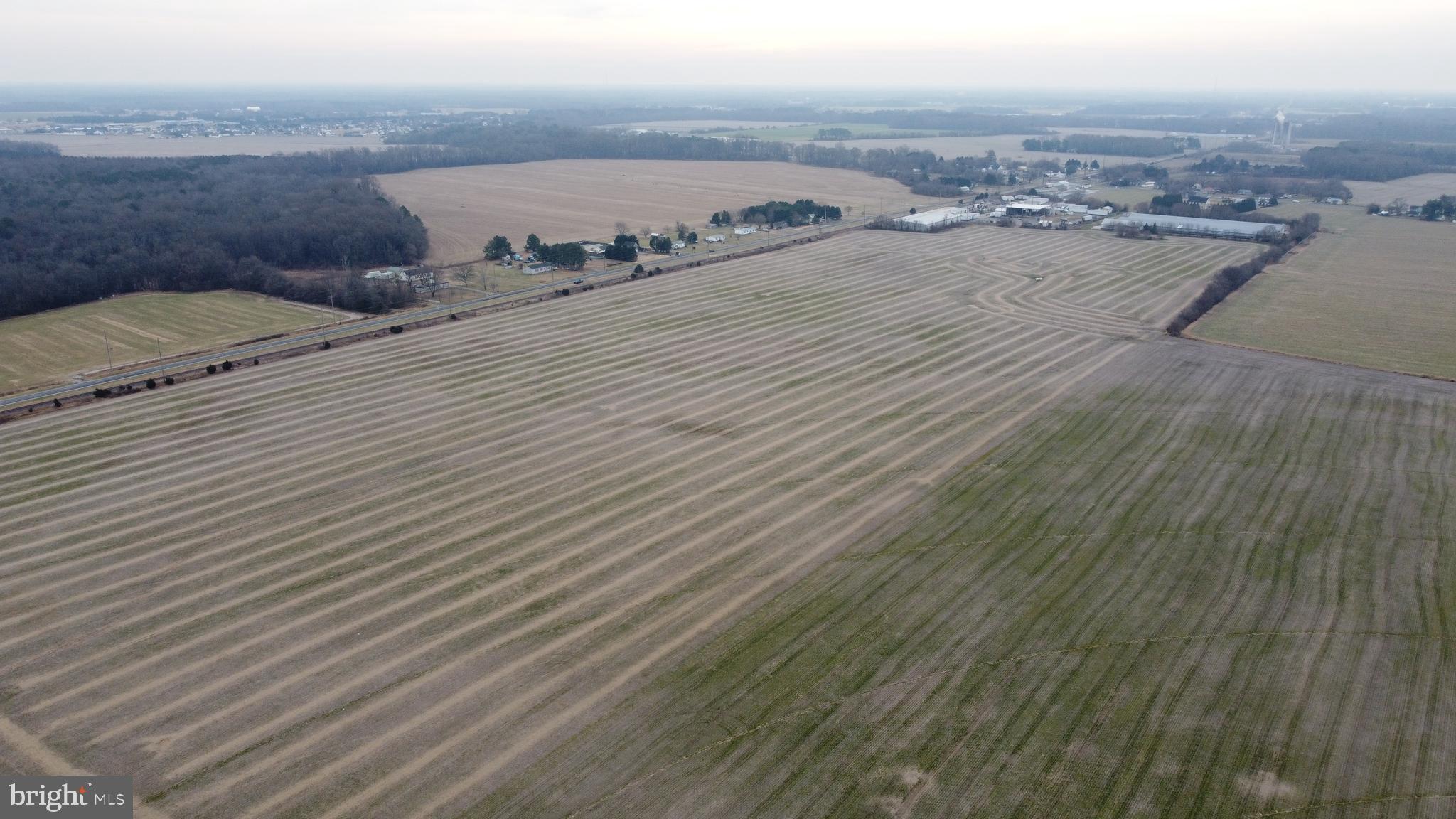 1 1-wilson Farm Road Bridgeville, DE 19933 - Photo 9 of 23 view of a terrace