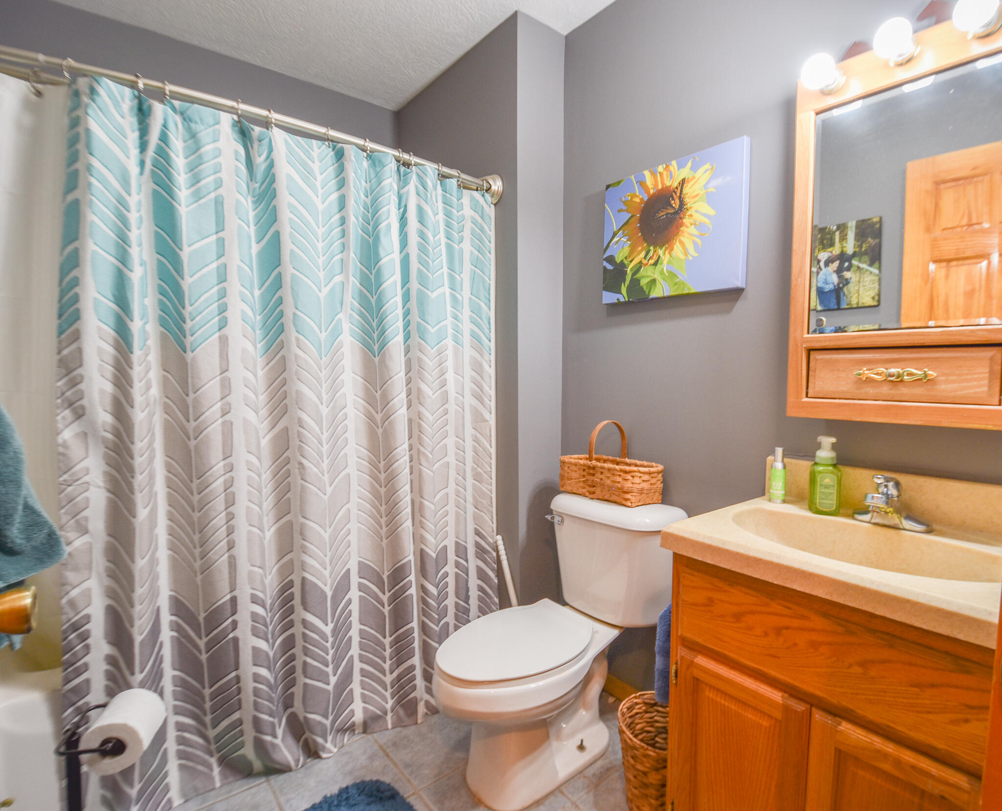 839 Adolph Road Union City, MI 49094 - Photo 32 of 50 DSC_0122