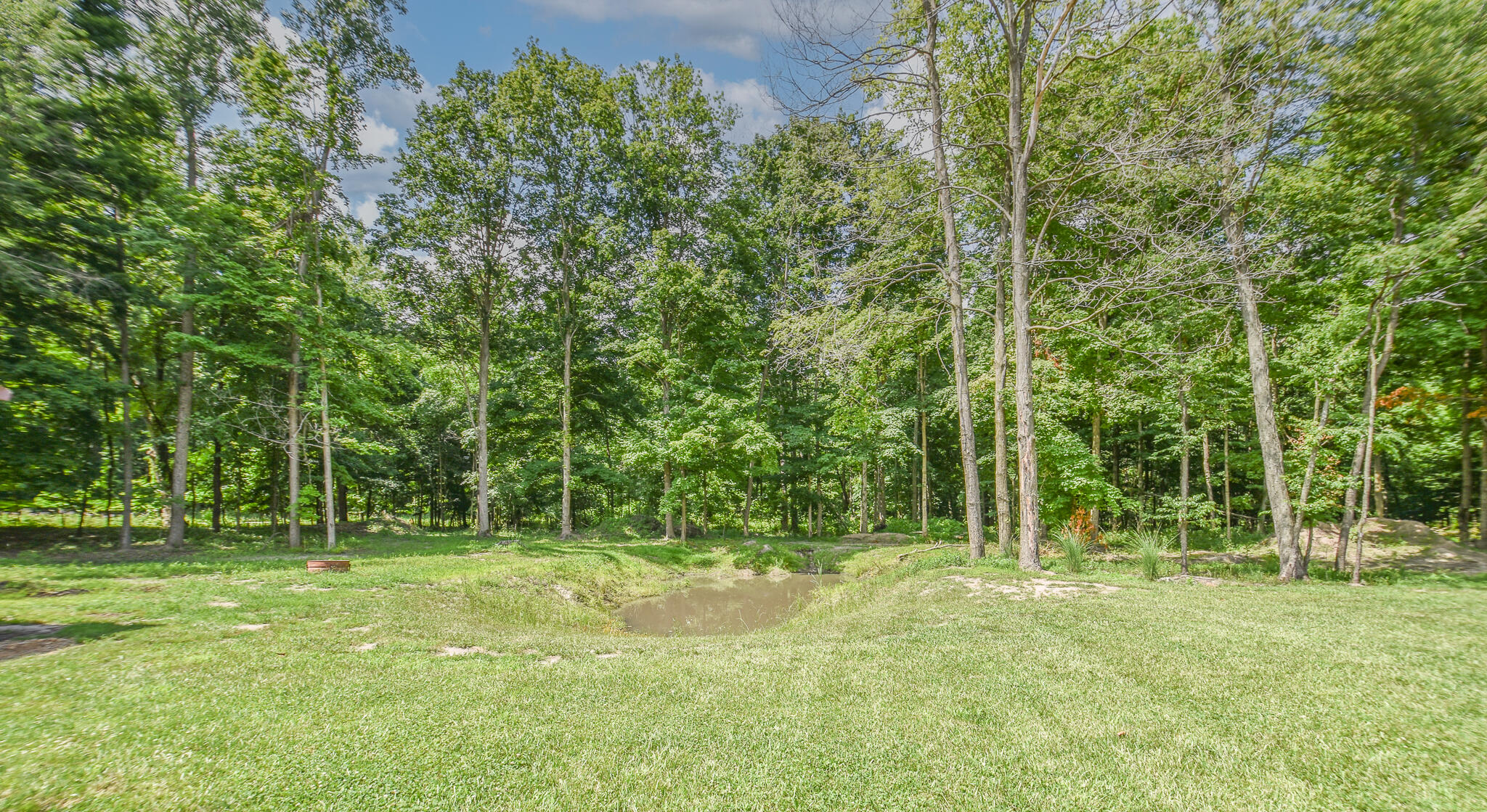 839 Adolph Road Union City, MI 49094 - Photo 47 of 50 DSC_0100-Edit