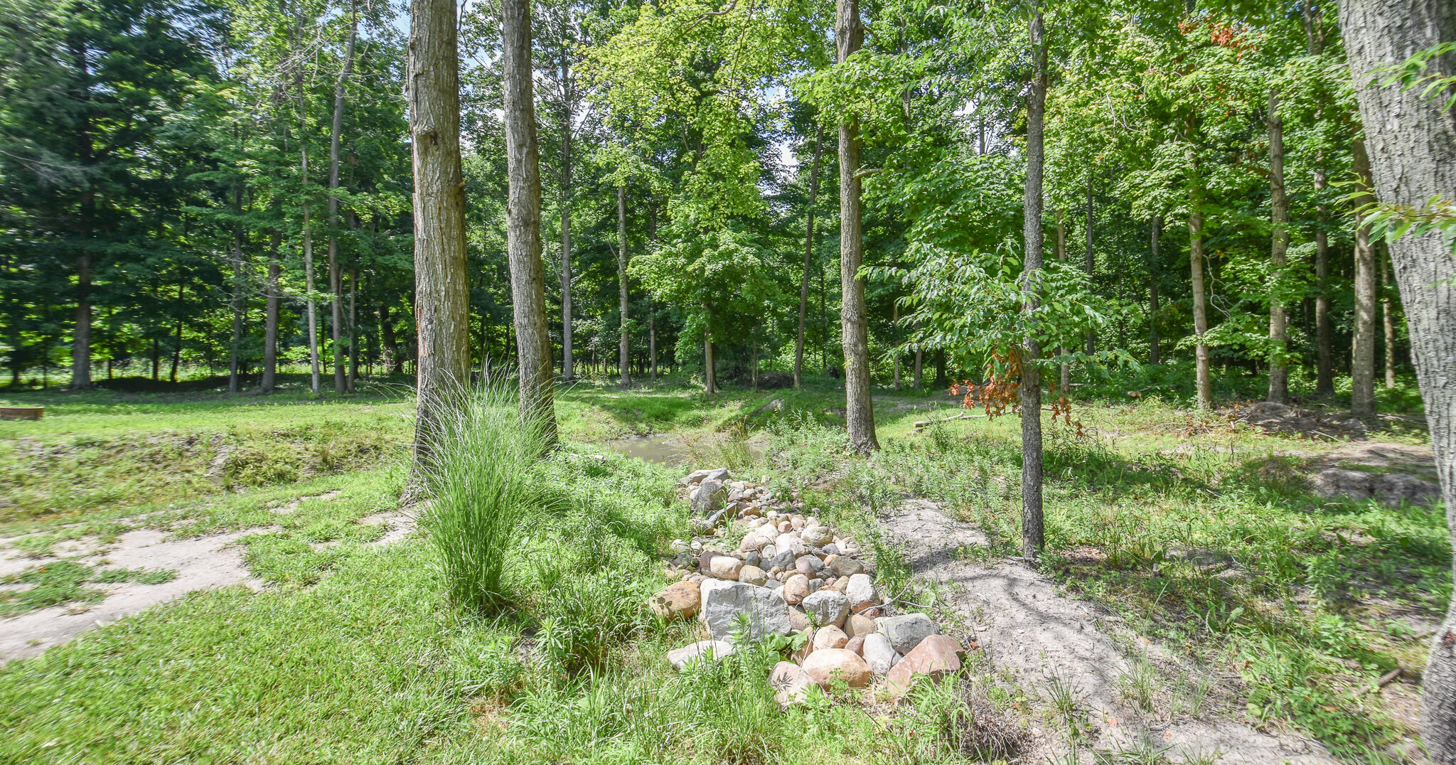 839 Adolph Road Union City, MI 49094 - Photo 49 of 50 DSC_0102