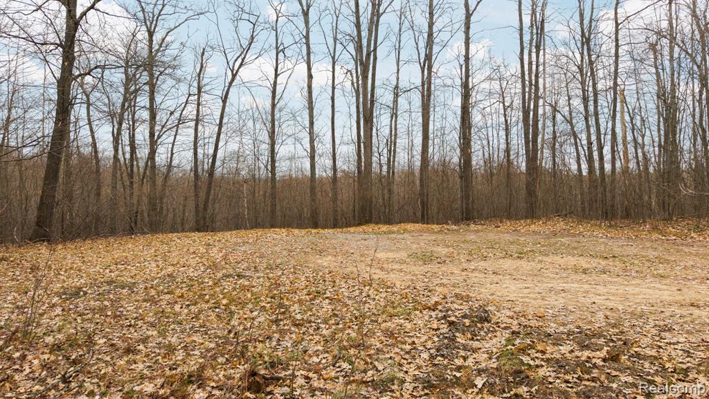 0 North Fairview Road West Branch, MI 48661 - Photo 14 of 14