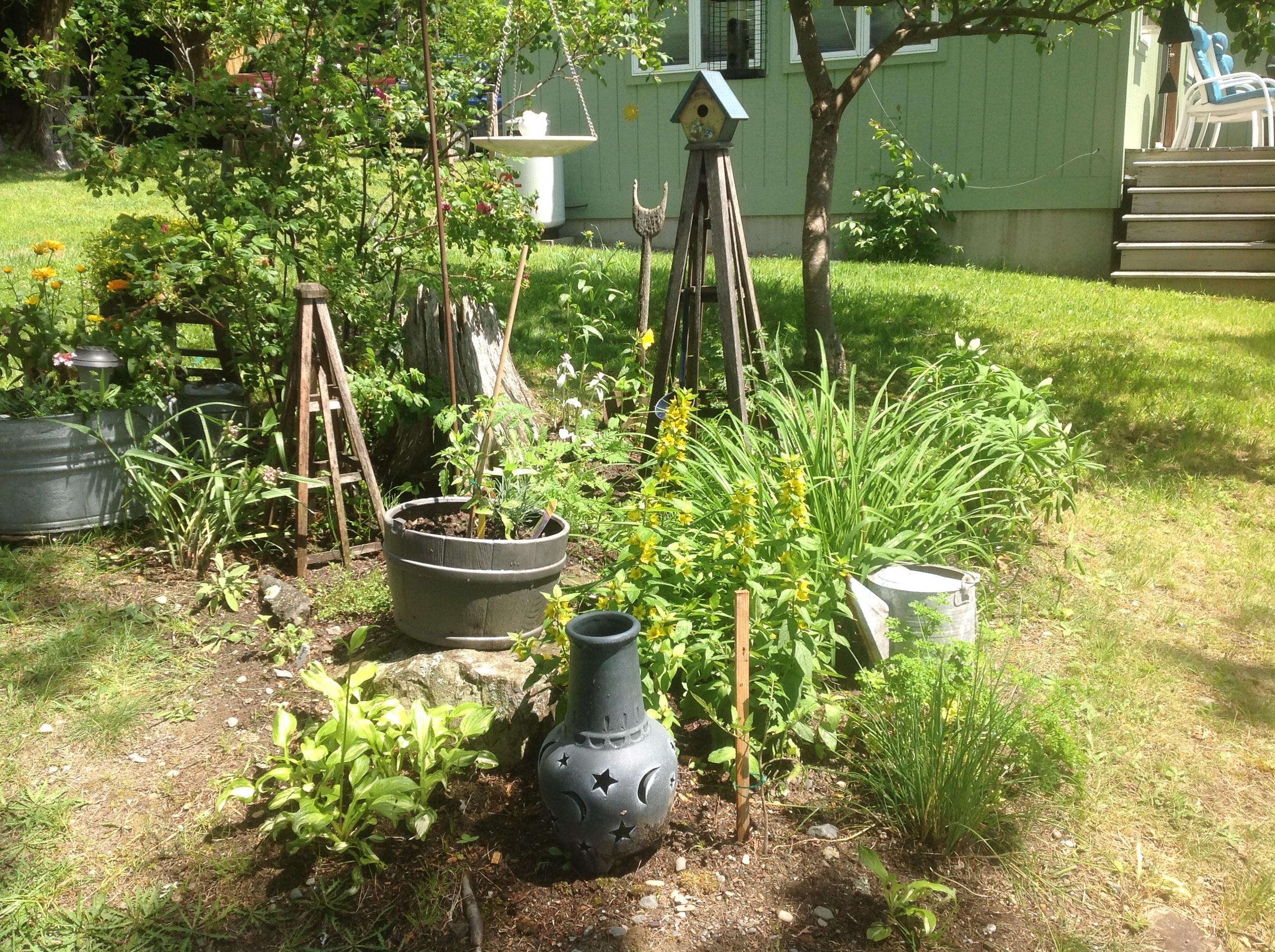 164 Cove Road Sebec, ME 04481 - Photo 34 of 37 Gardens