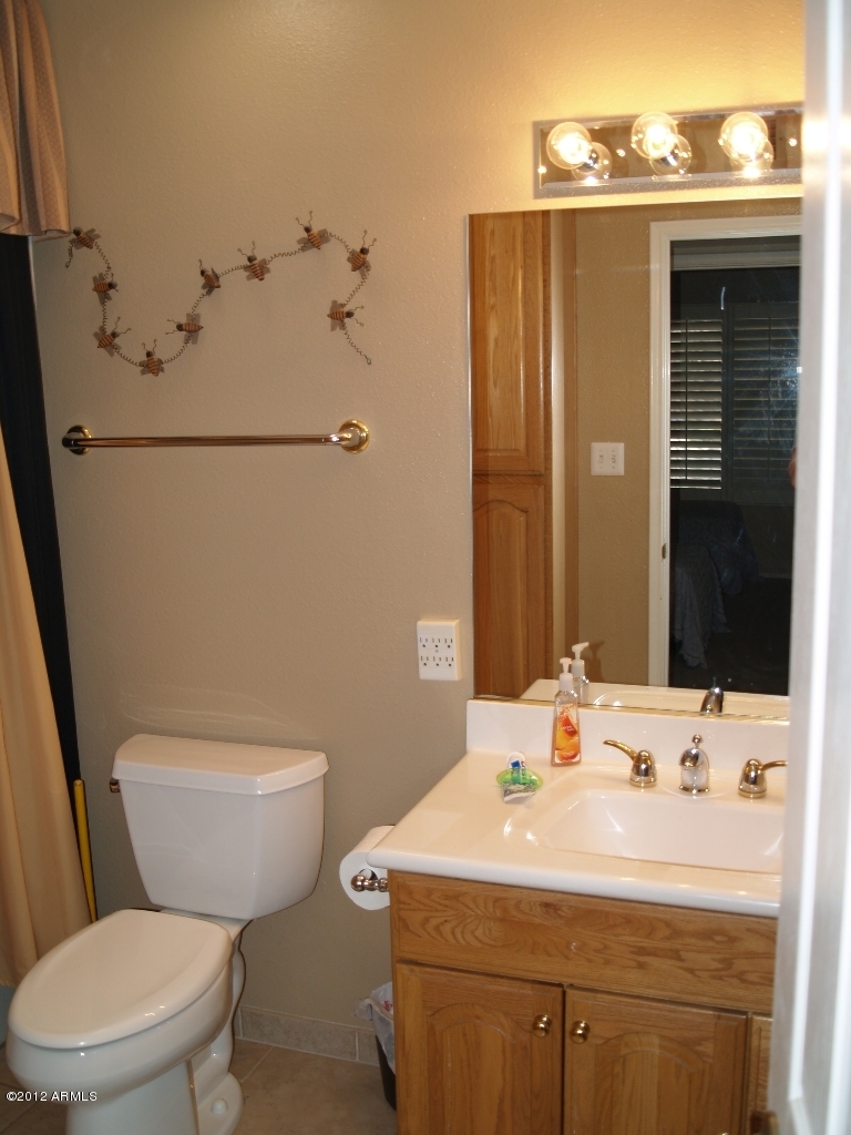 3826 West Dalphin Road Phoenix, AZ 85051 - Photo 14 of 22 Hall bath