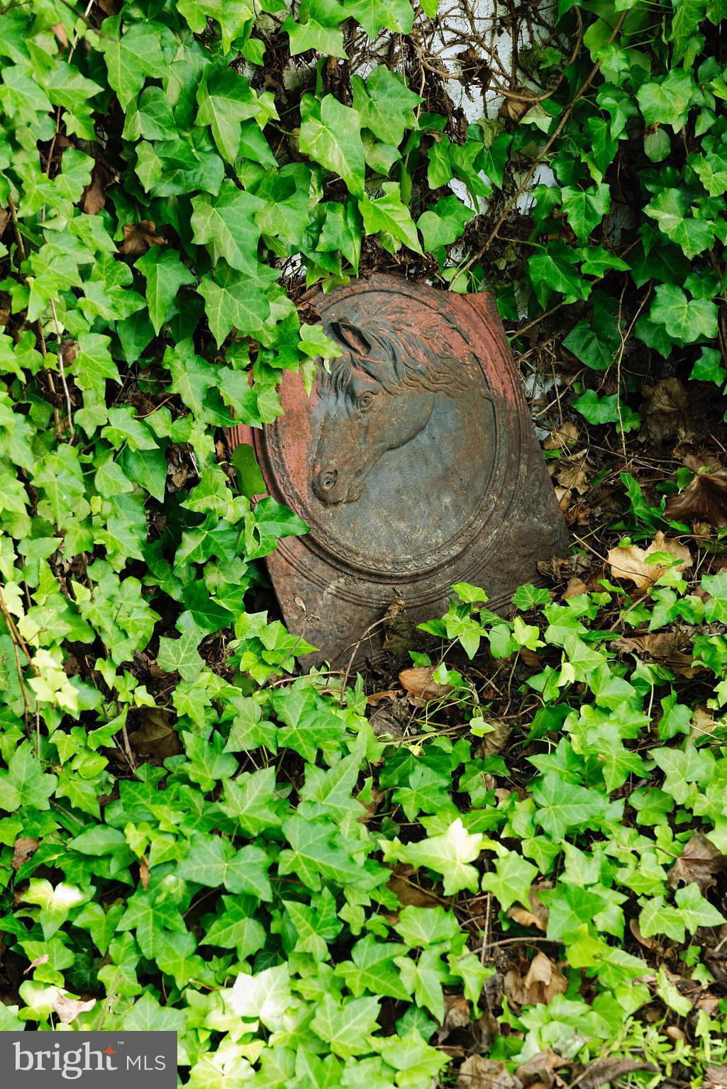 21896 Pot House Road Middleburg, VA 20117 - Photo 38 of 70