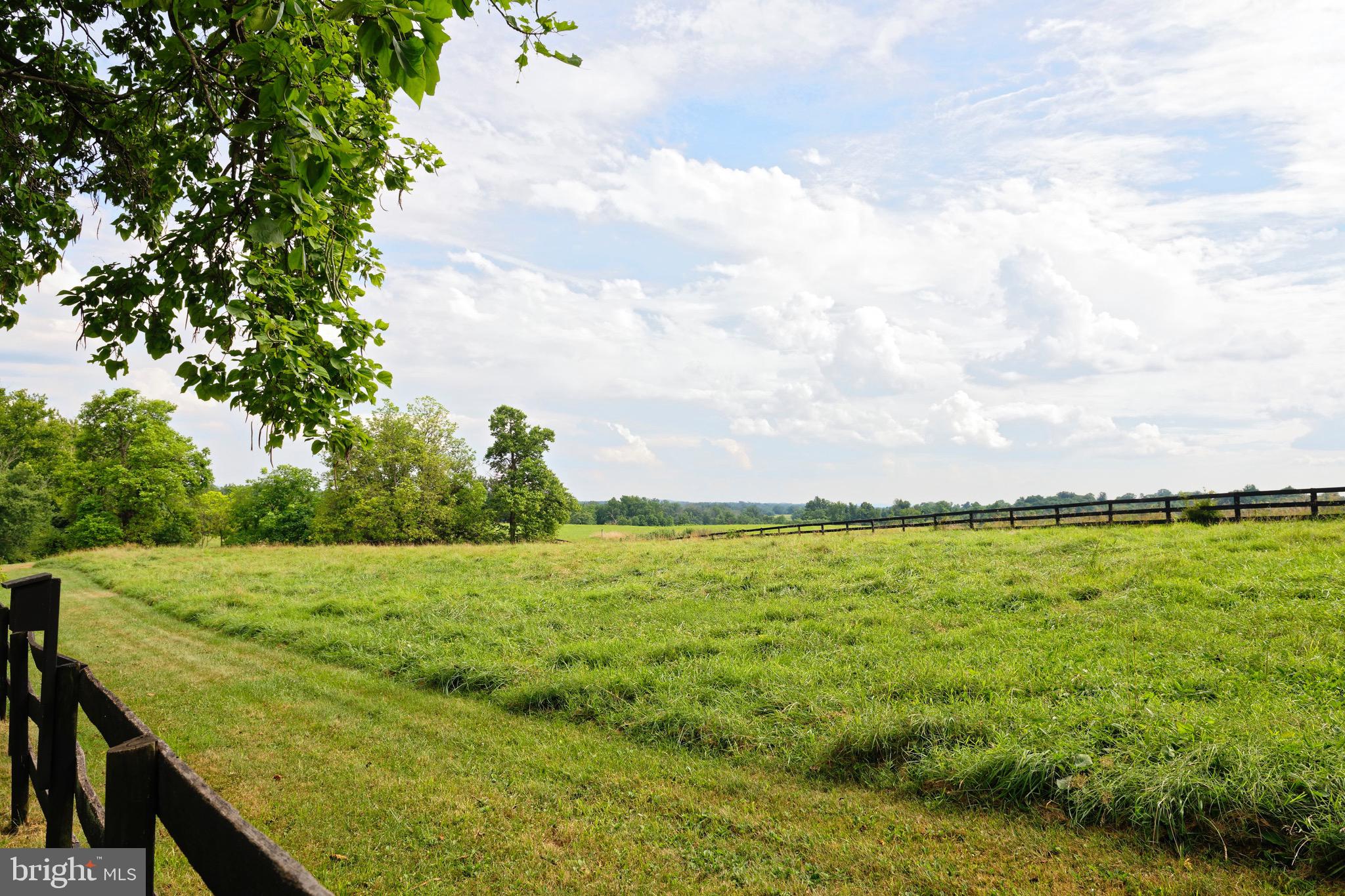 21896 Pot House Road Middleburg, VA 20117 - Photo 51 of 70 Large open pastures on the farm ideal for horses