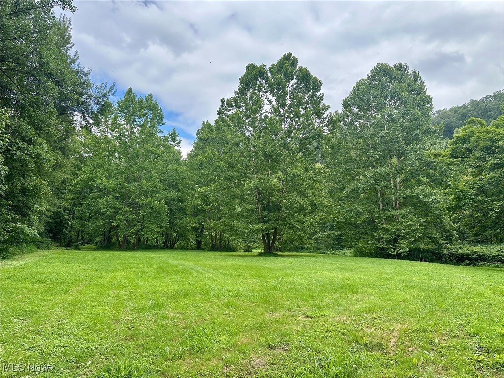 325 North Fork Road New Matamoras, OH 45767 - Photo 29 of 50 View of green lawn featuring a view of trees