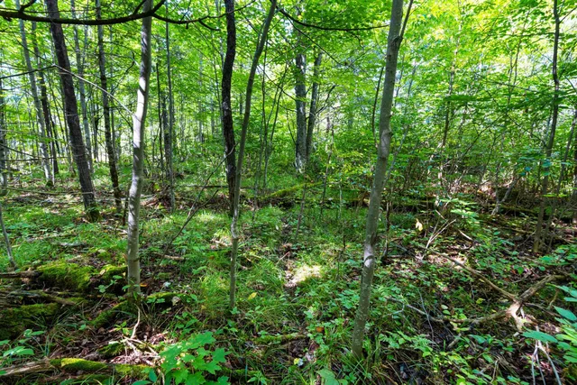 $136,000 | 0 Double Bend Road, Argonne, WI 54511