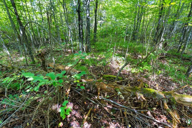 $136,000 | 0 Double Bend Road, Argonne, WI 54511