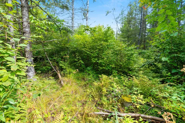 $136,000 | 0 Double Bend Road, Argonne, WI 54511