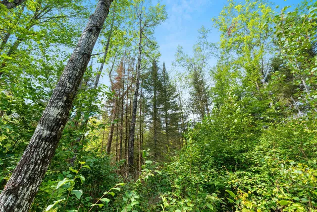 $136,000 | 0 Double Bend Road, Argonne, WI 54511