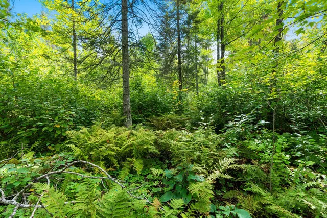 $136,000 | 0 Double Bend Road, Argonne, WI 54511