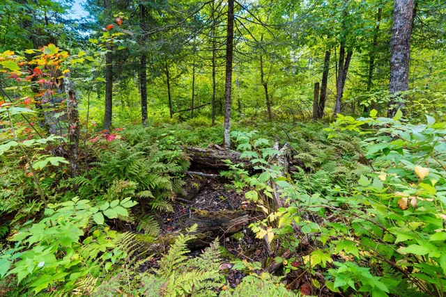 $136,000 | 0 Double Bend Road, Argonne, WI 54511