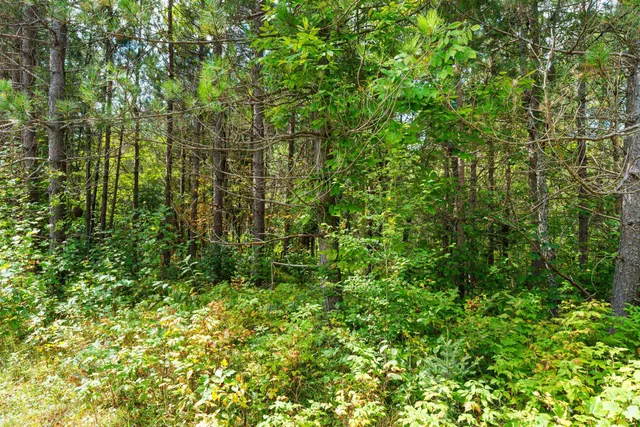 $136,000 | 0 Double Bend Road, Argonne, WI 54511