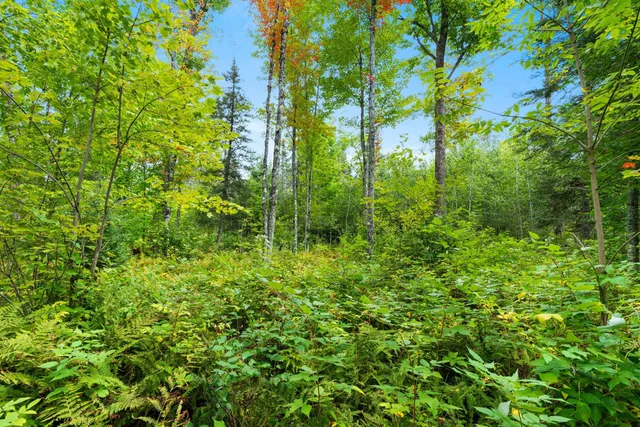 $136,000 | 0 Double Bend Road, Argonne, WI 54511