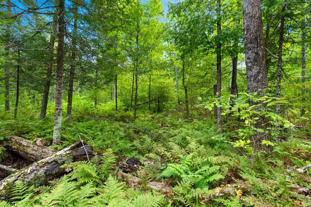 $136,000 | 0 Double Bend Road, Argonne, WI 54511