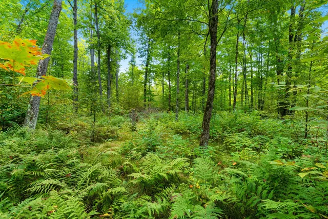 $136,000 | 0 Double Bend Road, Argonne, WI 54511