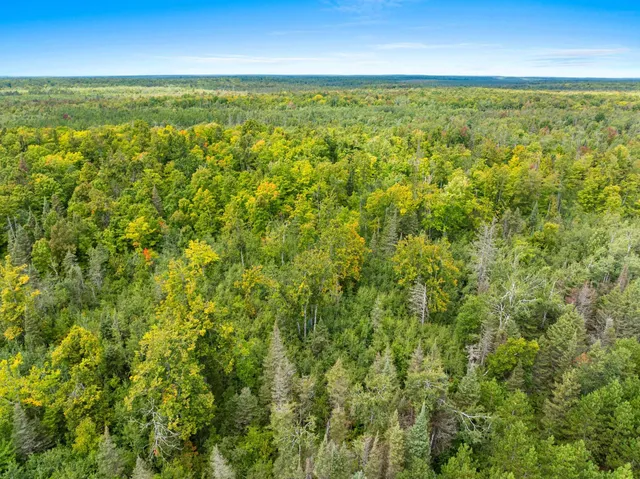 $136,000 | 0 Double Bend Road, Argonne, WI 54511