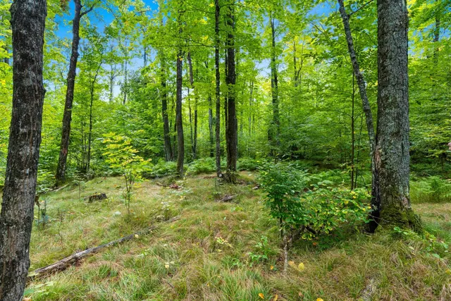 $136,000 | 0 Double Bend Road, Argonne, WI 54511