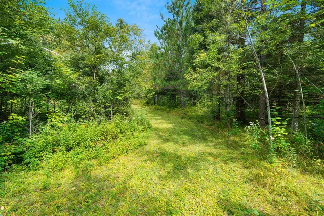 $136,000 | 0 Double Bend Road, Argonne, WI 54511