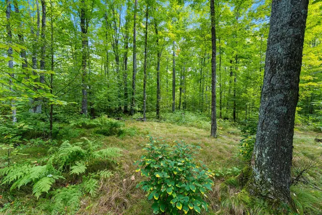 $136,000 | 0 Double Bend Road, Argonne, WI 54511