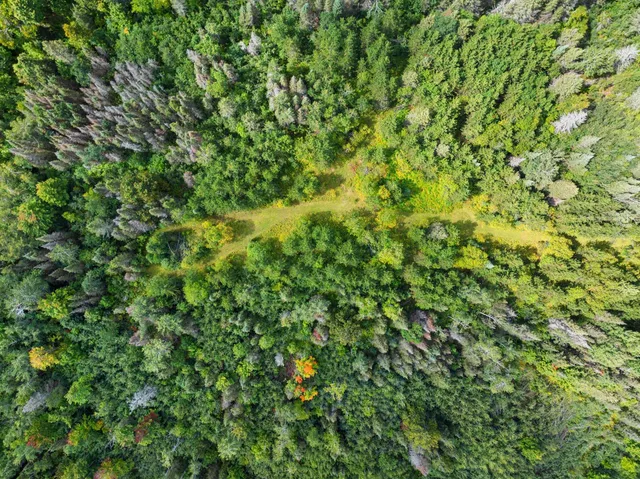 $136,000 | 0 Double Bend Road, Argonne, WI 54511