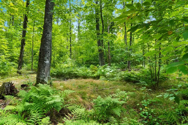 $136,000 | 0 Double Bend Road, Argonne, WI 54511