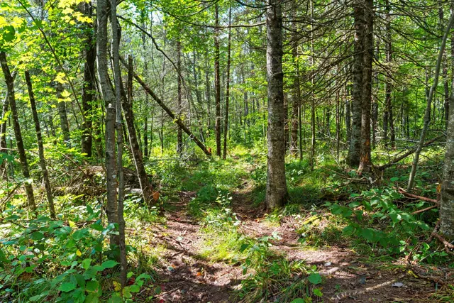 $136,000 | 0 Double Bend Road, Argonne, WI 54511