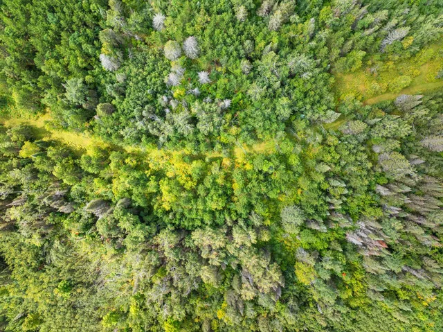 $136,000 | 0 Double Bend Road, Argonne, WI 54511