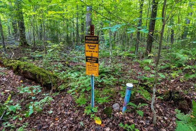 $136,000 | 0 Double Bend Road, Argonne, WI 54511